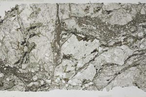 Plane Polarized, S53265