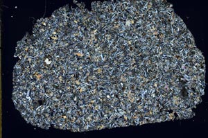 Cross Polarized, S53309