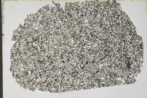 Plane Polarized, S53309