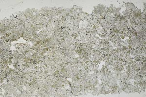 Plane Polarized, S53312