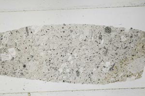 Plane Polarized, S53331