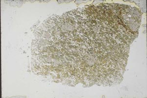 Plane Polarized, S53362