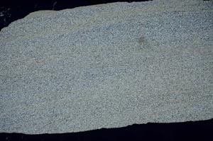 Cross Polarized, S53364