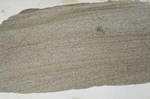 Plane Polarized, S53364
