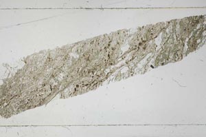 Plane Polarized, S53367