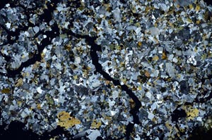 Cross Polarized, S53386