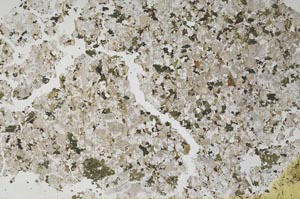 Plane Polarized, S53386