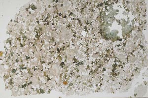 Plane Polarized, S53387/A