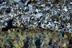 Cross Polarized, S53390