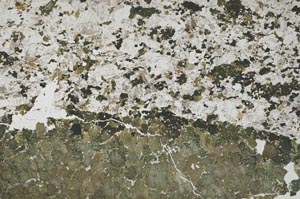 Plane Polarized, S53390