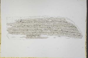Plane Polarized, S53398