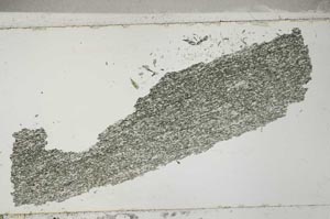 Plane Polarized, S53403