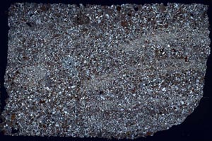 Cross Polarized, S53432