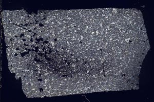 Cross Polarized, S53447