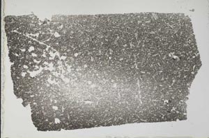 Plane Polarized, S53447