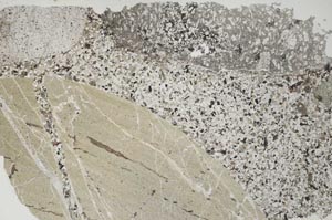 Plane Polarized, S53452