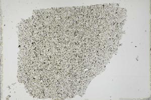 Plane Polarized, S53456