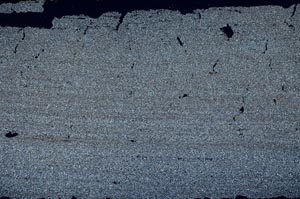 Cross Polarized, S53457