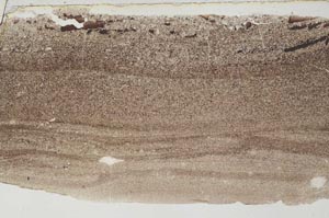 Plane Polarized, S53463