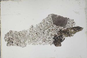 Plane Polarized, S53482