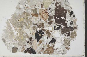 Plane Polarized, S53487