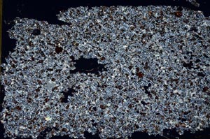 Cross Polarized, S53498