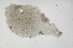 Plane Polarized, S53499