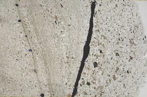 Plane Polarized, S53525