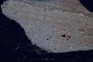 Cross Polarized, S53531