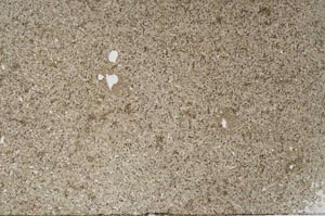 Plane Polarized, S53539