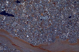 Cross Polarized, S53544