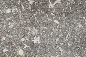 Plane Polarized, S53547