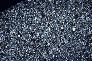 Cross Polarized, S53562