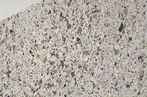 Plane Polarized, S53562