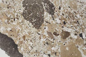 Plane Polarized, S53563