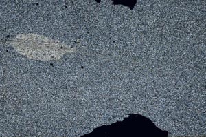 Cross Polarized, S53564