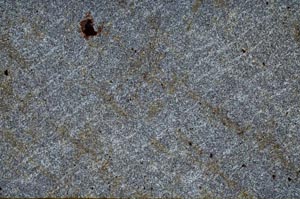 Cross Polarized, S53565