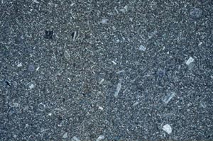 Cross Polarized, S53566