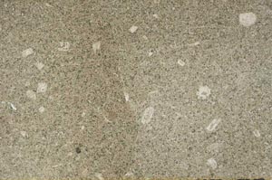 Plane Polarized, S53566