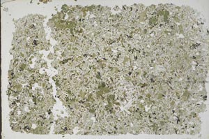 Plane Polarized, S53626
