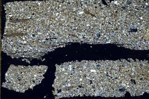 Cross Polarized, S53649