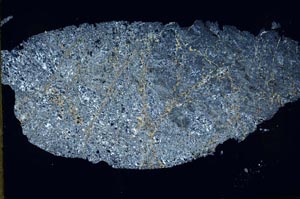 Cross Polarized, S53663