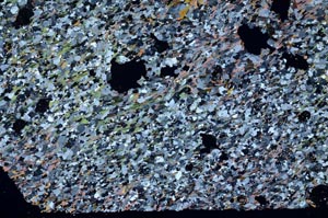 Cross Polarized, S53677