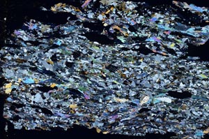 Cross Polarized, S53678