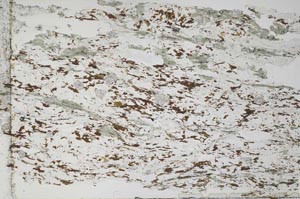 Plane Polarized, S53678