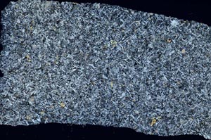 Cross Polarized, S53679