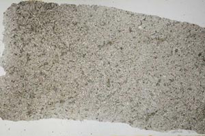 Plane Polarized, S53679