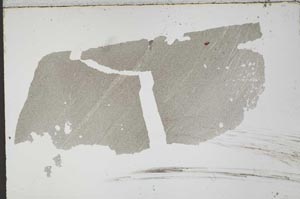 Plane Polarized, S53687