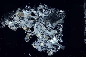 Cross Polarized, S53700