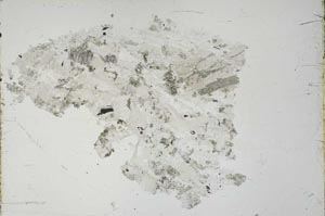 Plane Polarized, S53700